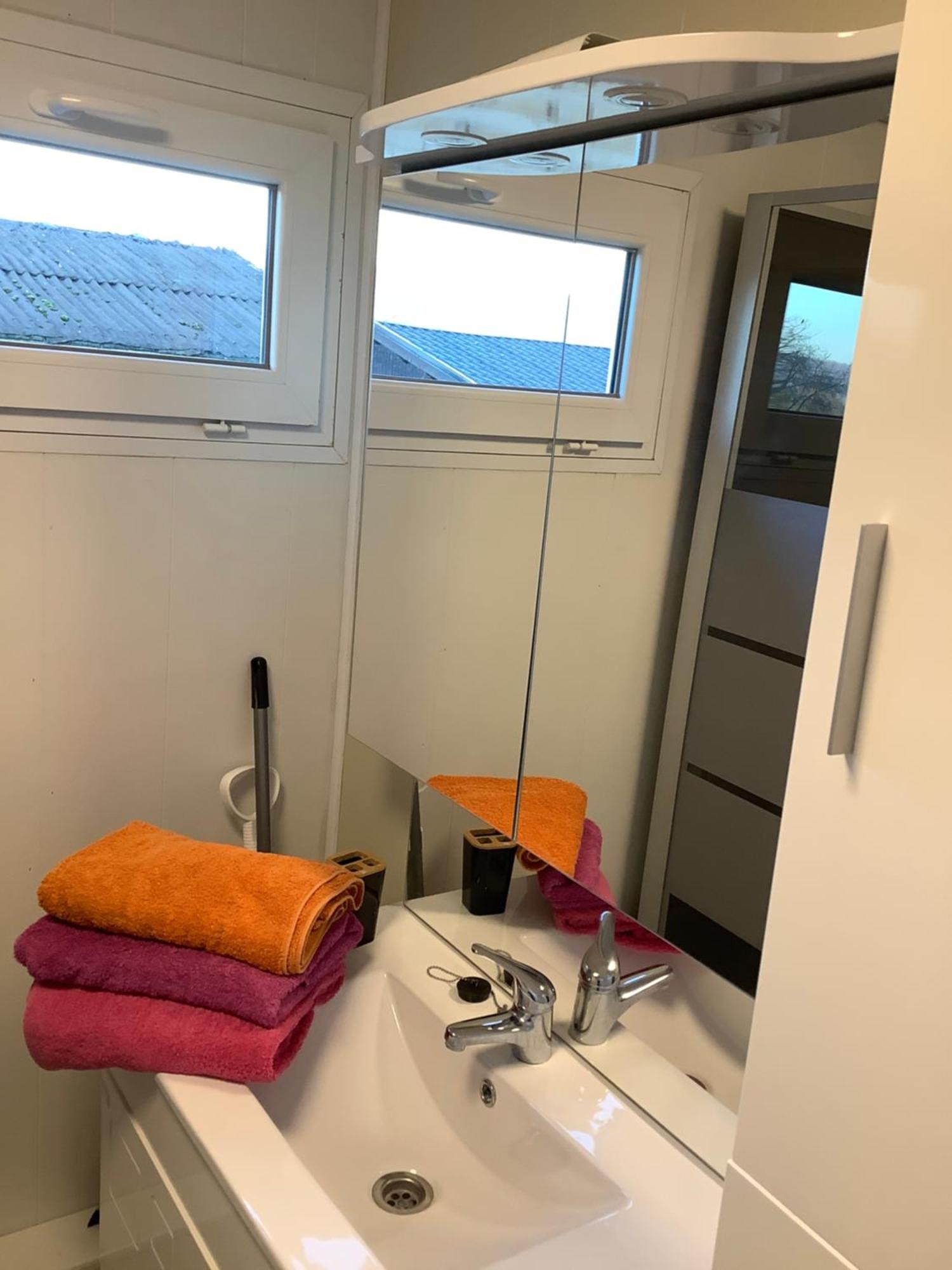 Chalet Charmant Monika Avec Piscine Yvoir ภายนอก รูปภาพ